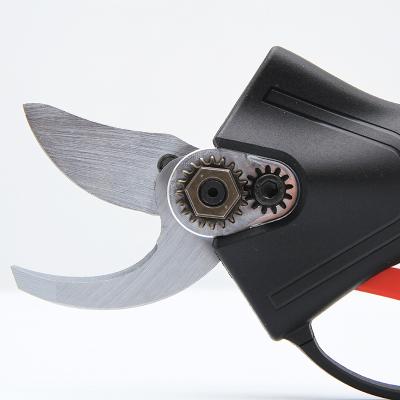 China 2021 New Design Quality Garden Shears High End Replaceable Spare Blade POA002567 for sale