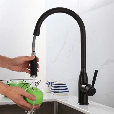 China Pull Out Spray Black All-Copper Kitchen Faucet Telescopic Multi-Functional Hot And Cold Pull Out Dish Sink Faucet for sale