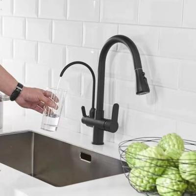 China Pull Out Spray All Kitchen Sink Faucet Water Purifier Accessories Black Custom Faucet Sprayer Double Handle for sale