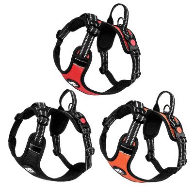 China Stocked Pet Harness And Leash Set Large Dog Harness With Leash And Leash Harness for sale