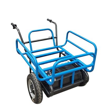 Cina Commercial Metal Crest Electric Wheelbarrow Price 200kg Two Wheels in vendita