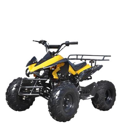 China Cheap Price 125cc Metal Cart ATV With Good Quality 4wheels Quad for sale