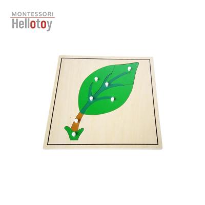 China Toy Montessori Materials Botany Puzzle Educational Sheet for sale