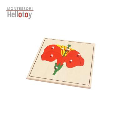 China Educational Flower from Toy Montessori Materials Botany Puzzle for sale