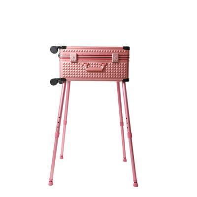 China Durable Professional Makeup Artist Makeup Handheld Makeup Case Trolley Case With Wheel Bracket for sale