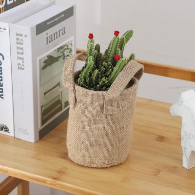 China Modern Hot Selling Eco - Friendly Hardware Flower Gardening Pot Felt Plant Growing Bags for sale