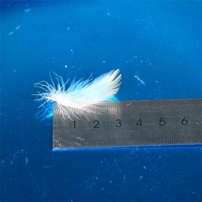 China Wholesale Soft Washed Duck Feather Natural Goose Feather White Down For Pillow Quilt Use for sale