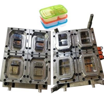 China Square Steel Houseware Grid Food Package Box Injection Mold Plastic Supplier for sale