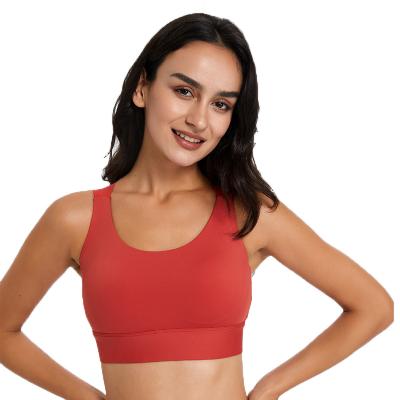 China Hot sale integrated design sports bra women's fitness sports x-shaped back bra breathable for sale