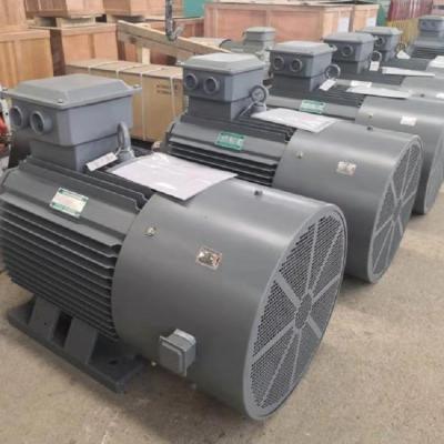 China Low rpm pmg generator permanent magnet alternator for sale pmg for sale