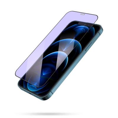 China Wholesale 2.5D Blue Anti-Blue Light Spike Invisible Anti View Tempered Glass Screen Protector Shockproof For iPhone 12 13 Pro Vivo Max for sale