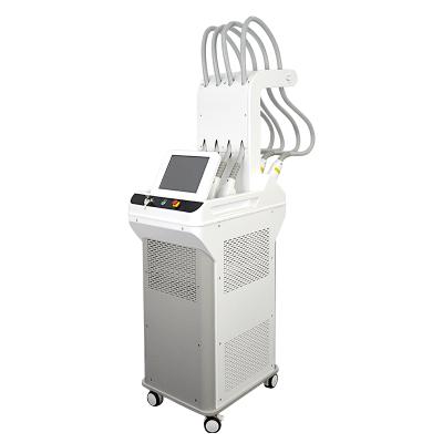 China Skin Tightening 2021 Diode Laser Body Beauty Weight Loss Sculpting Equipment 1060nm Wholesale Body Contouring Removal Machine for sale