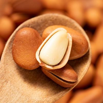 China 2021 Six Star Healthy Food Amazon Wholesale Price Pine Nuts Pine Nuts for sale