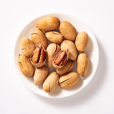 China Top Delicious Nutritious Dry Pecan Grade Pecan Nuts Wholesale Pecan Nuts for sale