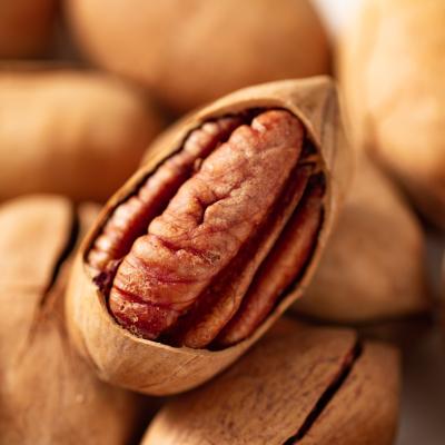 China Dry 2021 Hot Sale Mexico Pecan Nuts Rich In Vitaminssix Star Pecan Wholesale for sale