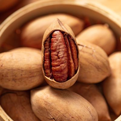 China New Cultivation Good Quality Raw Almond Nut Pecan Pistachio Pecan Pecans 100%Natural Dry Raw for sale