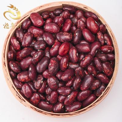 China Growing PSKB Pinto Beans Dark Red Specked Natural Dwarf Beans for sale