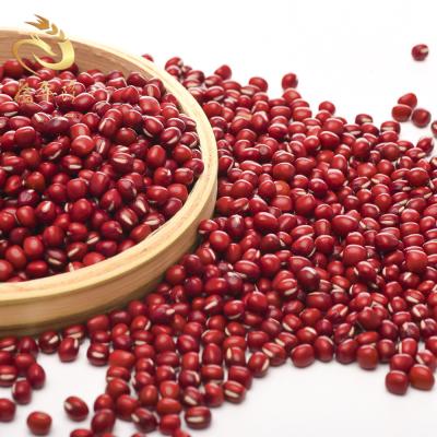 China Fresh Small Red Beans New Culture Certified Healthy Small Red Adzuki Beans for sale