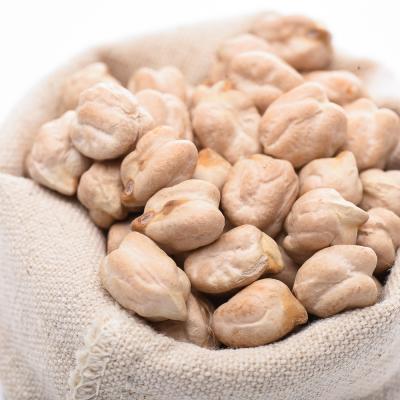 China Large Number Carbohydrates Nutritious Cellulose Dried Hot Selling Organic Chickpeas for sale