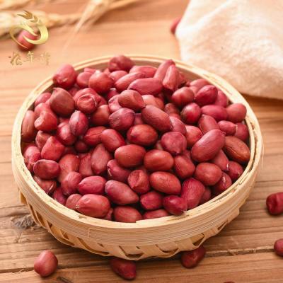 China New Cultivation Good Quality Dry Red Raw Shelled Peanut Peanut Skin Red Shelled Peanut for sale