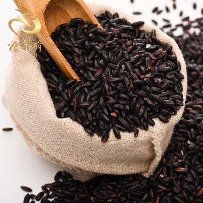 China Nature's Earthly Choice Dry All Natural Organic Black Rice Farms Pearl Rice Black Sticky Rice for sale