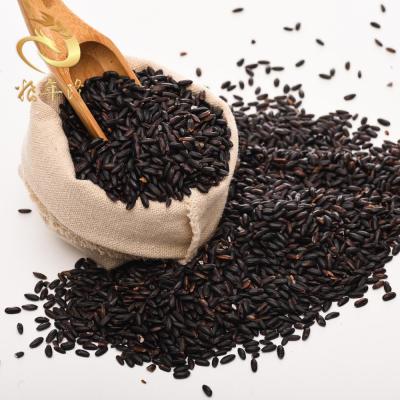 China Chinese black rice international standard green food cereal organic grains gules health dry black rice for sale