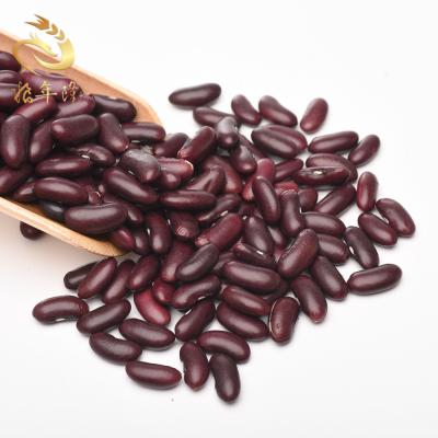 China Dried Dark Red Kidney Bean Exporting Bulk Non-GMO Purple Kidney Bean for sale