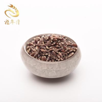 China Best price feed 100% original buckwheat dry style dry wheat for bread making for sale