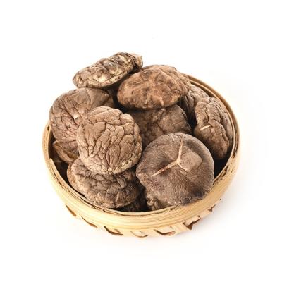 China Healthy Organic Grown Nutritious Thick Edible Mushroom Dried Shiitake Mushrooms for sale