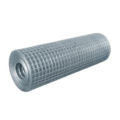 China Hot Welded Product 1x1/2 Inch Mesh Galvernize After Welding 2.5m Width Welded Wire Mesh Dog Cage for sale