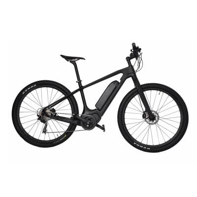 China Dengfu 29er 18