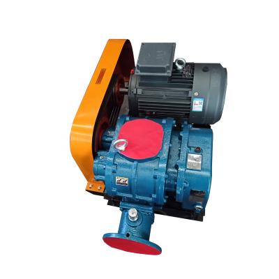 China Belt Drive SHANGU RSR100 3 Lobes Roots Blower For Wastewater Treatment With 7.5kw Motor for sale