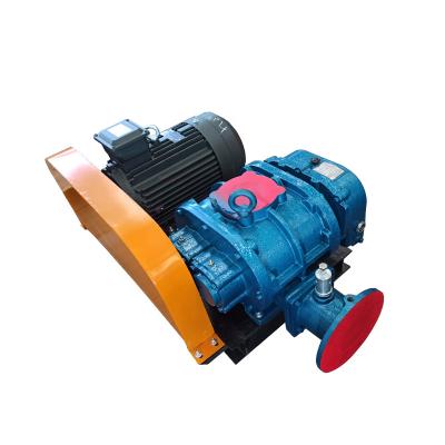 China Belt Drive SHANGU RSR65 3 Lobes Roots Blower For Wastewater Treatment With 4kw Motor for sale