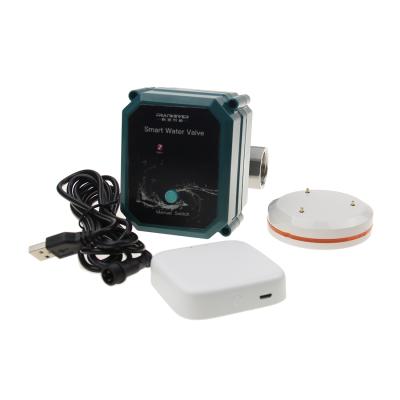 中国 General wireless water valve 2020 new full item zigbee smart remote control kit with water leak sensor 販売のため