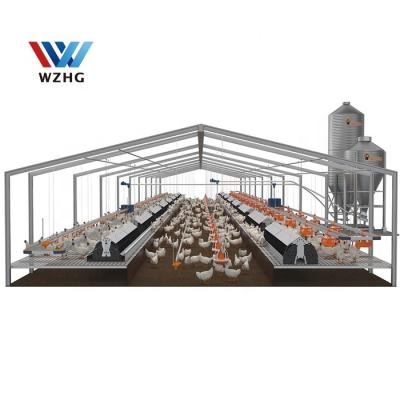 China Modern factory price custom design easy assembling steel structure chicken house poultry house in steel structure building for sale