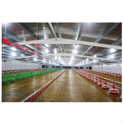 China Modern High Strength Affordable Recycle Prefab Steel Structure Chicken Broiler Poultry Farm House Long Use Life Span for sale