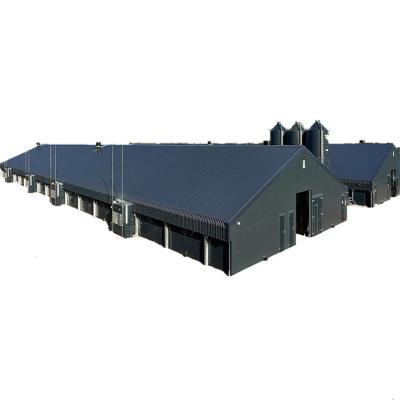 China Modern Prefabricated Mechanized And Automated Steel Structure Poultry Hatchery (Chicken) Farm for sale