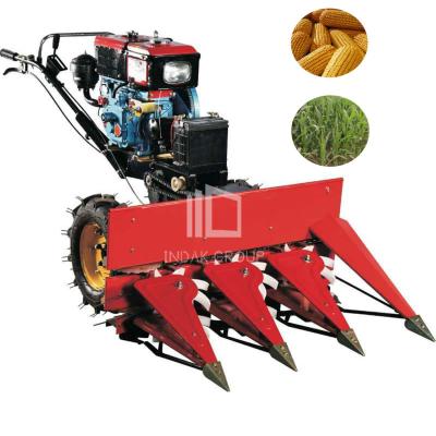 China Small Hand Push Gasoline Windrower For Agriculture Industry for sale