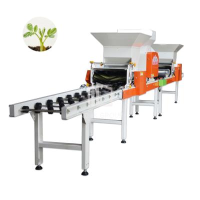 China Automatic Seed Planting Machine Tray Sowing Machine For Agriculture Use for sale