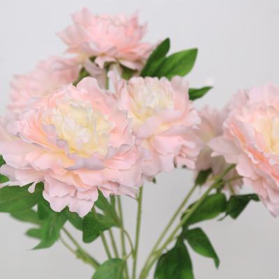 China Mix modern simple pink color real touch roses hydrangea preserved flower roses silk hydrangea peony artificial flowers for sale