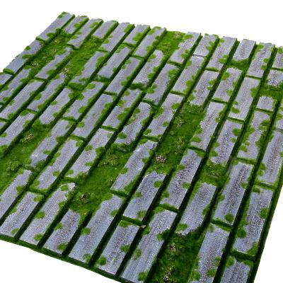 China Factory direct sale modern china supplier wholesale environmental artificial moss grass wall for art decoration for sale