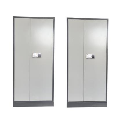 China Commercial Office Furniture Customized 2 Section Security Filing Cabinet Shelf for sale