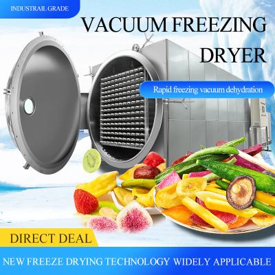 China Medicine Processing Freeze Drying Equipment Freeze Drying Machine Industrial Coffee Powder Vacuum Freeze Dryer for sale