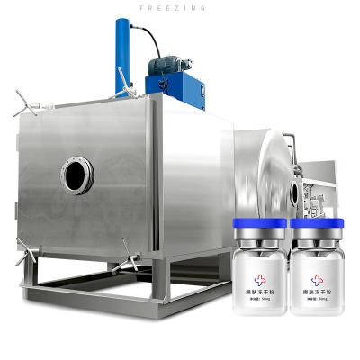 China Fruit Pharmaceutical Steam Sterilizable Industrial Freeze Dryers Medical Gland Seal Vacuum Freeze Dryer for sale