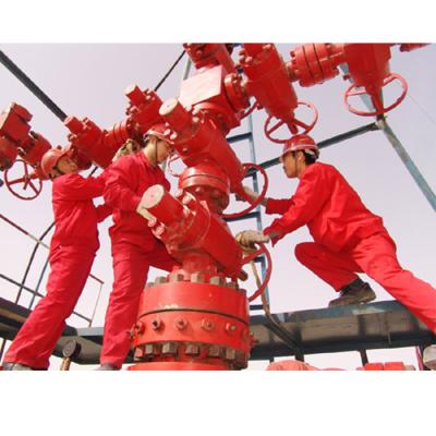 China energy & High Level Oilfield Wellhead And Christmas Tree Equipment Oil Drilling Shaft Oil Extraction X-Shaft for sale