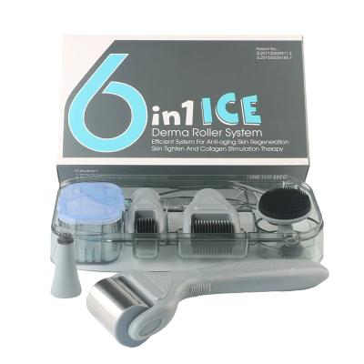 China Anti-Puffiness DERMA ROLLER 6 in 1 ICE Roller Set Titanium Advanced Microneedle Beauty Skin Care Set for sale