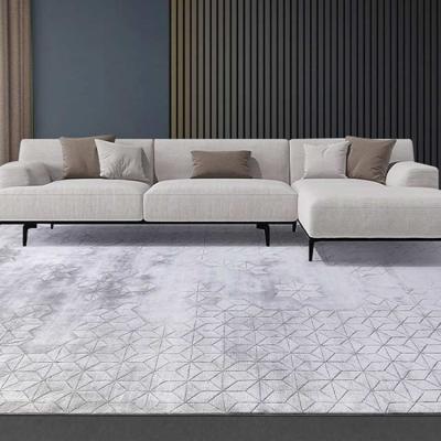 China Washable Modern Minimalist Sofa Blankets Banana Gray Silk Gray High End Carpet for sale