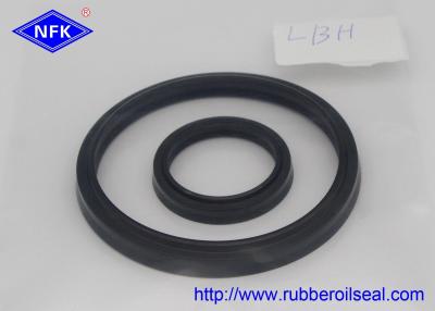 China Cylinder Rod Rubber Dust Seal DSI LBI LBH VAY DH Different Type High Temp Resistant for sale