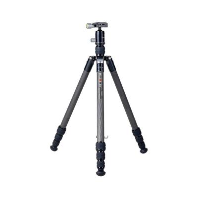 China T555R Carbon Fiber Tripod Adjustable Pan Flexible Professional Mobile Camera Tripod Aluminum Alloy Carbon Fiber Foot Tube for sale