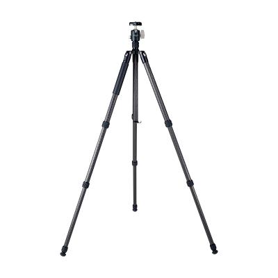 China DM294C+Q36 carbon fiber carbon fiber foot tube aluminum alloy camera pan 360 camera tripod stand for sale